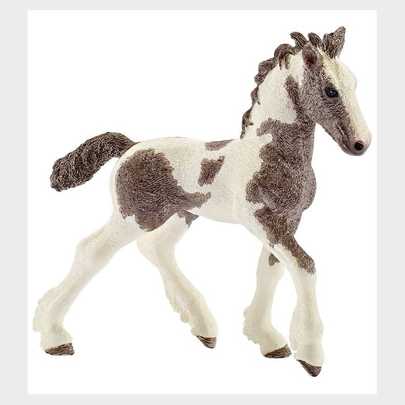 Schleich Dyr - 9,5 x 9 cm - Tinker Fl 13774