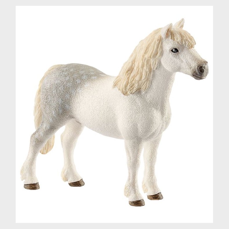 Schleich Dyr - 11,5 x 9,5 cm - Welsh Pony Hingst 13871