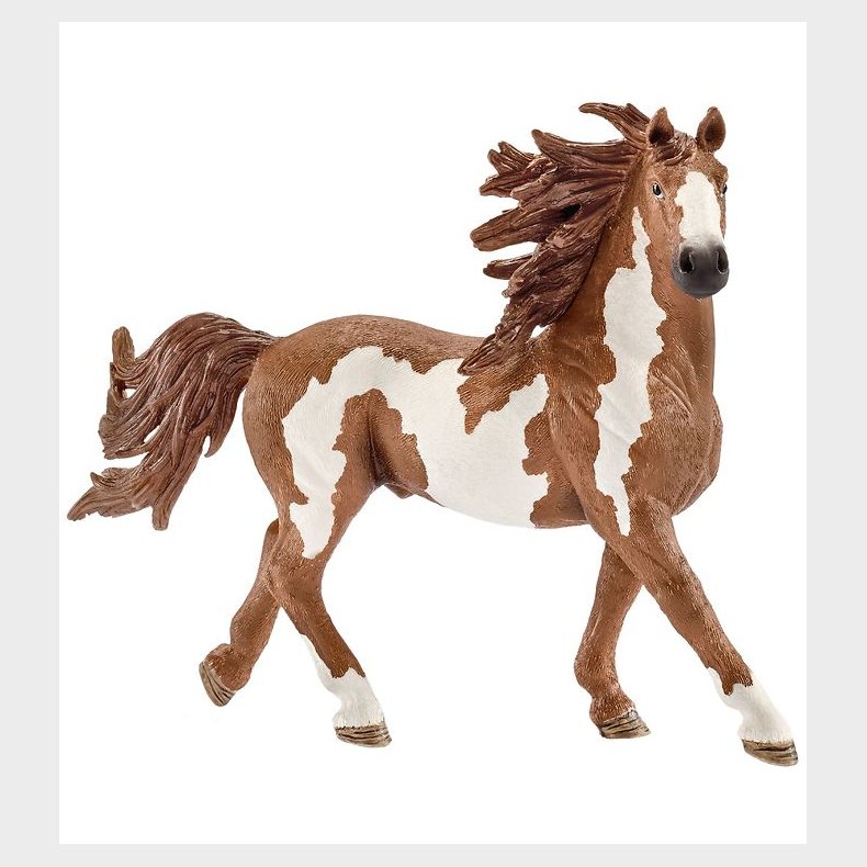 Schleich Dyr - 16 x 10,5 cm - Pinto Hingst 13794