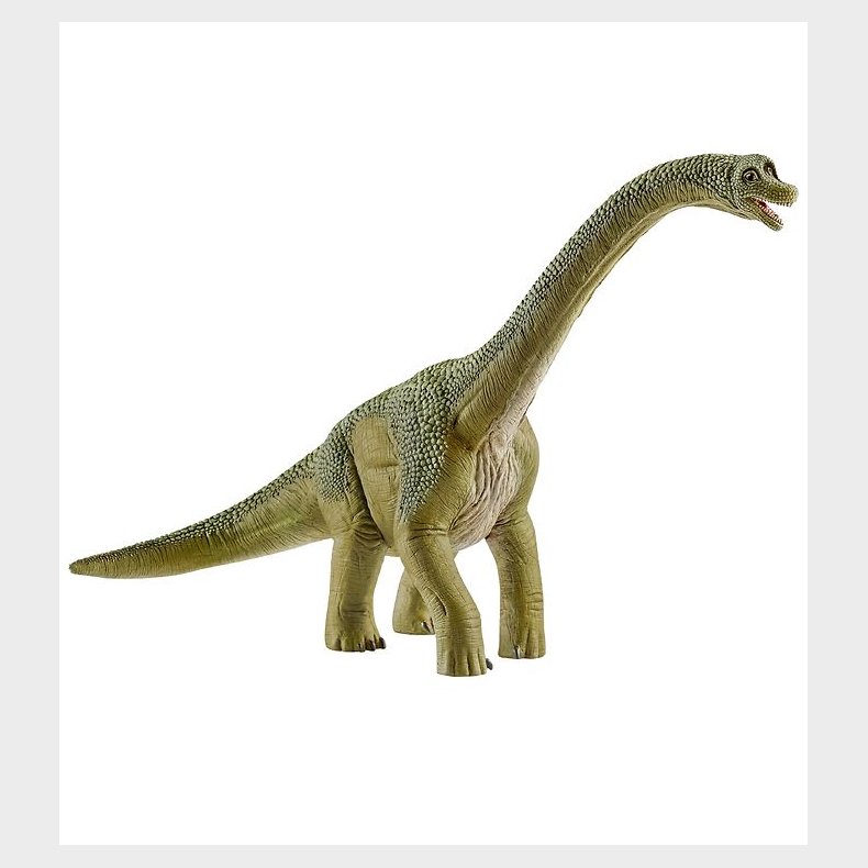 Schleich Dinosaurs - Brachiosaurus - H: 18,5 14581