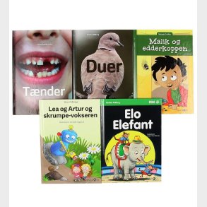 Bogpakke - 2. Klasse - Assort. - 5 Bger Straarup & Co