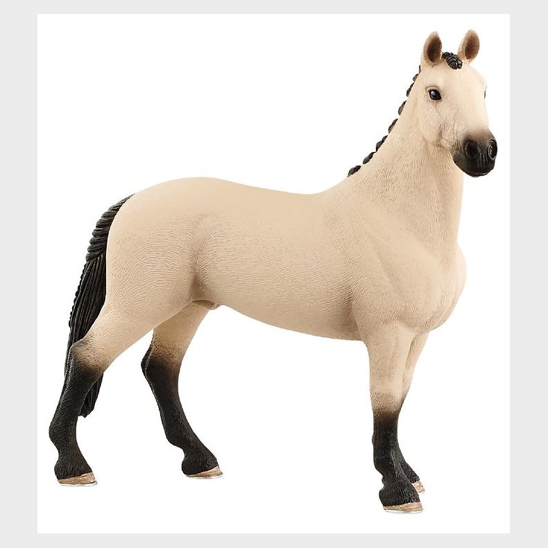 Schleich Dyr - 12 x 12,3 cm - Hannoveraner Vallak 13928