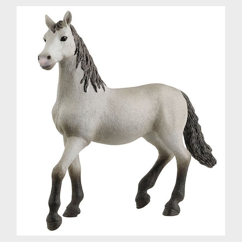 Schleich Dyr - 10,7 x 10,3 cm - Pura Raza Española Unghest 13924