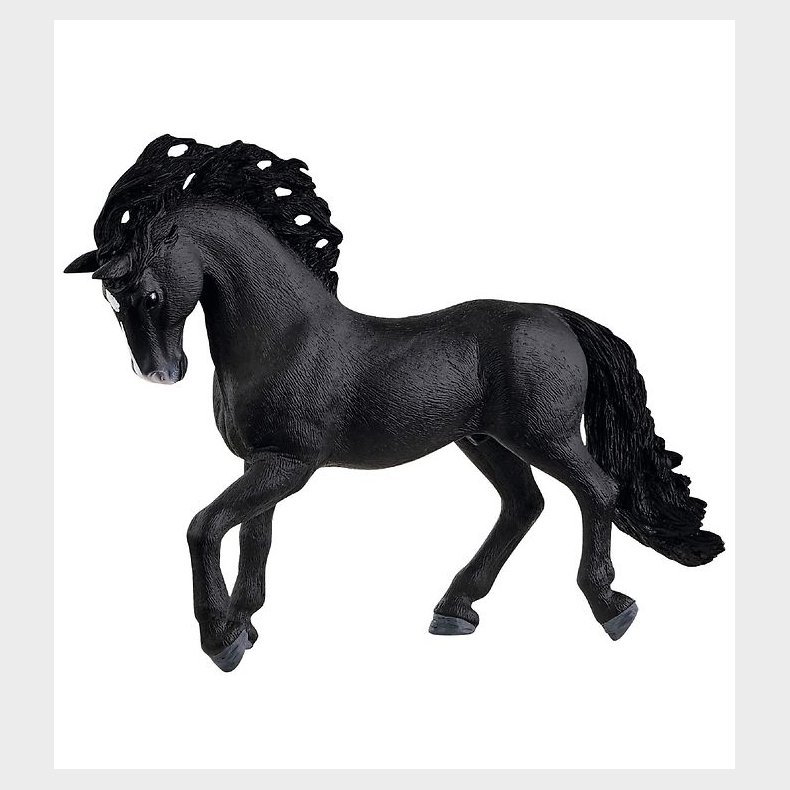 Schleich Dyr - 11,5 x 14,4 cm - Pura Raza Española Hingst 13923