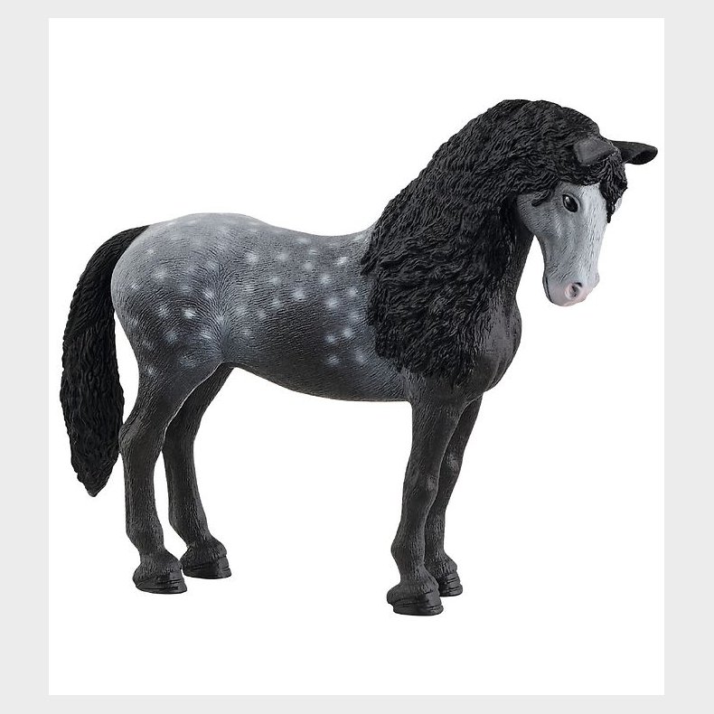 Schleich Dyr - 10,9 x 12,5 cm - Pura Raza Española Hoppe 13922