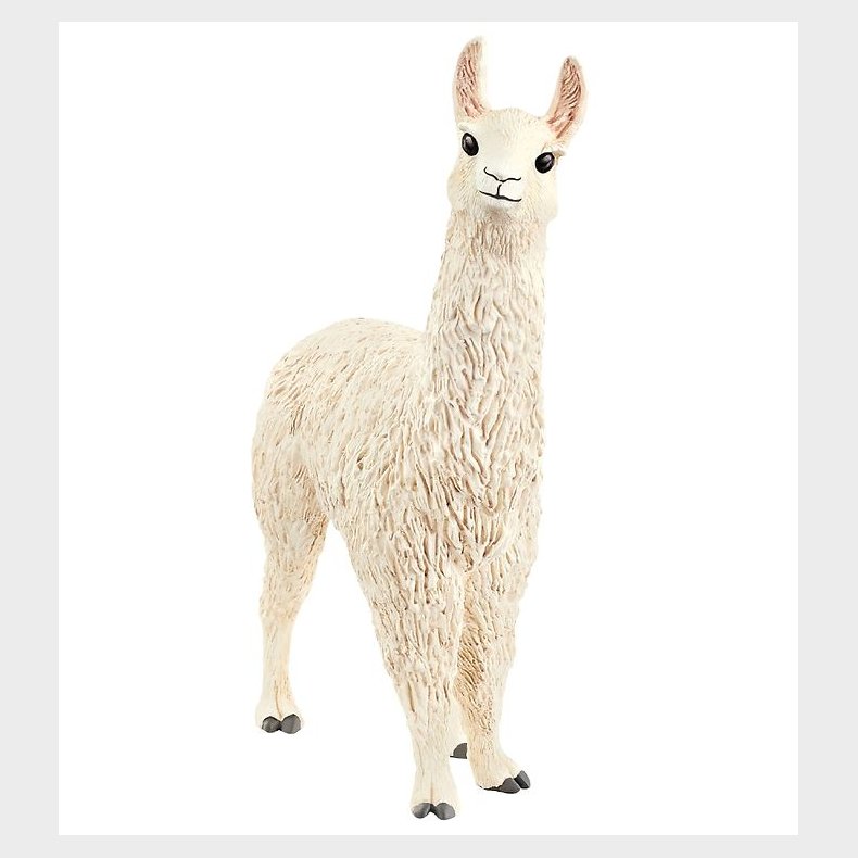 Schleich Dyr - 9,4 x 7 cm - Lama 13920