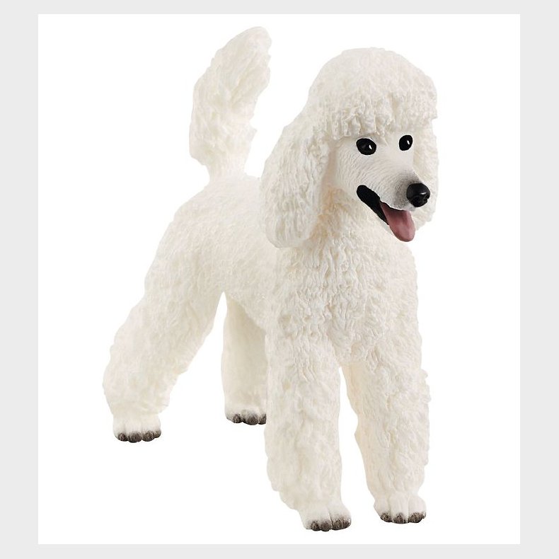 Schleich Dyr - 6,4 cm - Puddel 13917