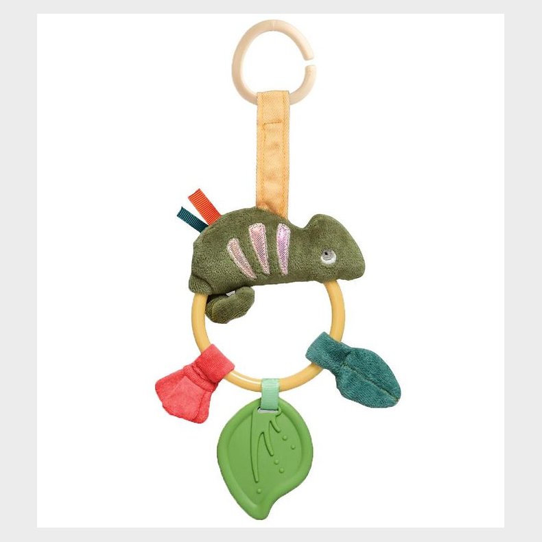 Sebra Aktivitetsring m. Oph�ng - Kam�leonen Carley