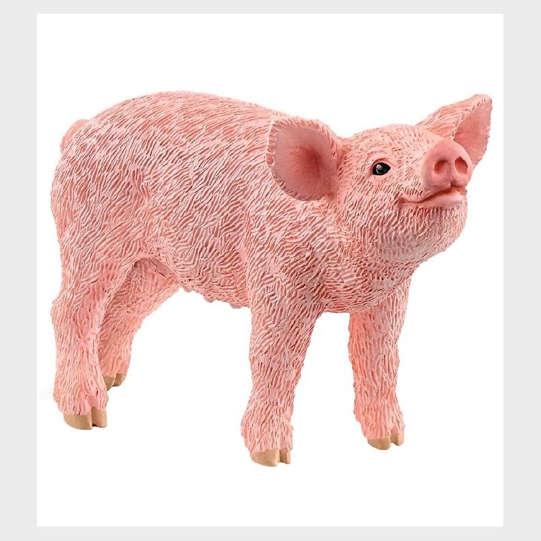 Schleich Farm World - Pattegris - H: 3,3 cm 13934