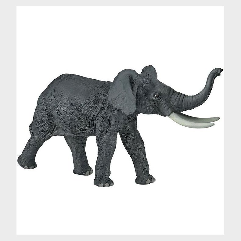 Papo Afrikans Elefant - H: 19 cm