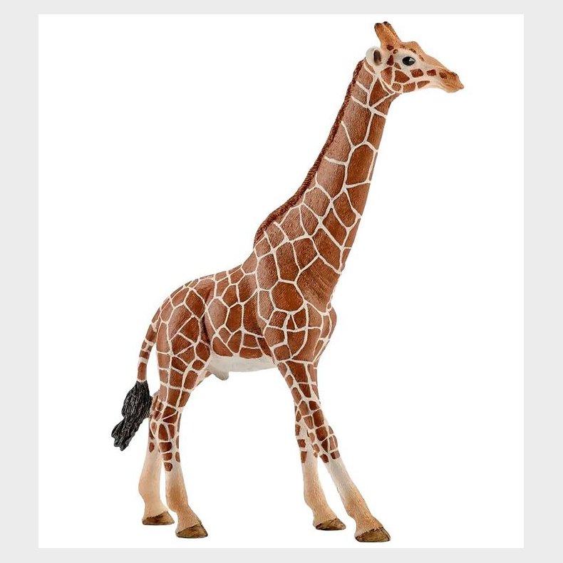 Schleich Wild Life - H: 17 cm - Giraftyr 14749