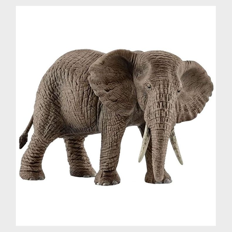 Schleich Wild Life - H: 9 cm - Afrikansk Elefant 14761