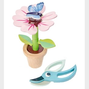 Tender Leaf Trlegetj - Blomst I Potte