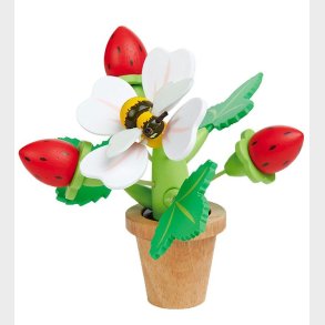 Tender Leaf Trlegetj - Jordbr I Potte