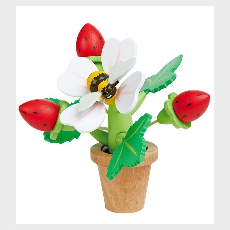 Tender Leaf Trlegetj - Jordbr I Potte