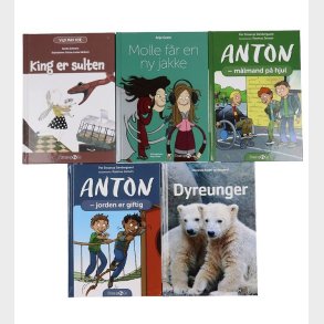 Bogpakke - 2. klasse - Assort. - 5 Bger Straarup & Co