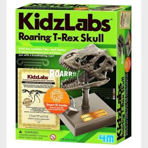 4M Kranium - KidzLabs - Brlende T-Rex Kranium