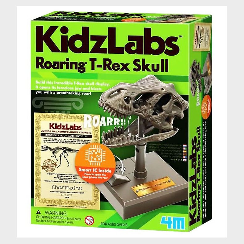 4M Kranium - KidzLabs - Brlende T-Rex Kranium