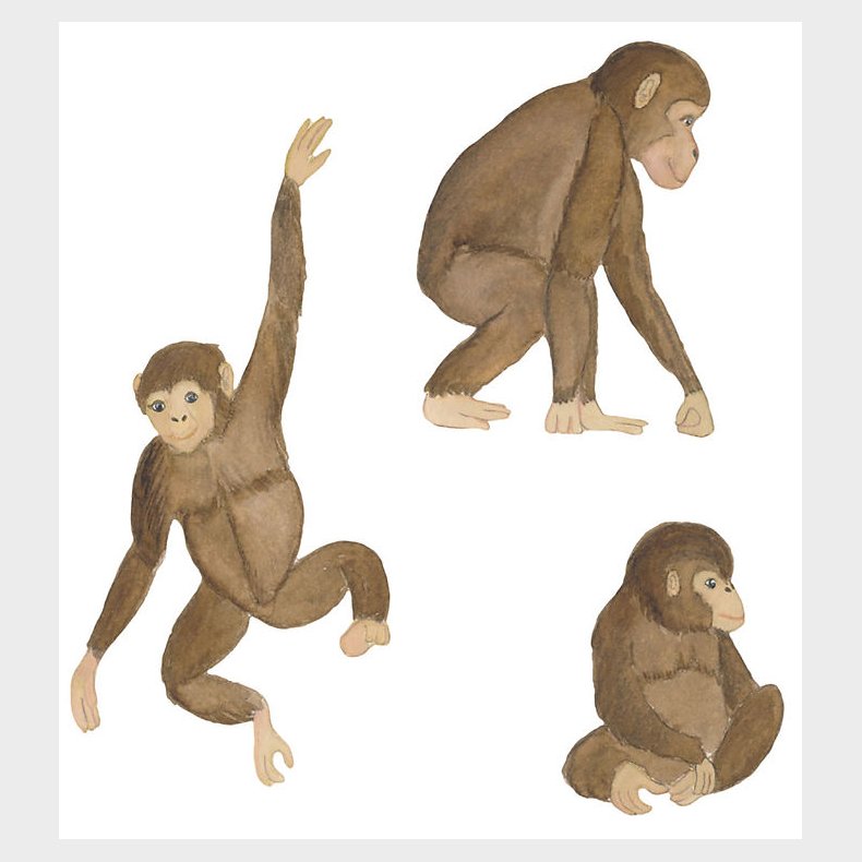 That's Mine Wallstickers - Monkeys - Multi