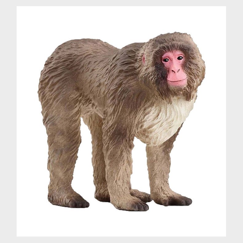 Schleich Wild Life - Japansk Makak-abe - H: 6,9 cm - 14871