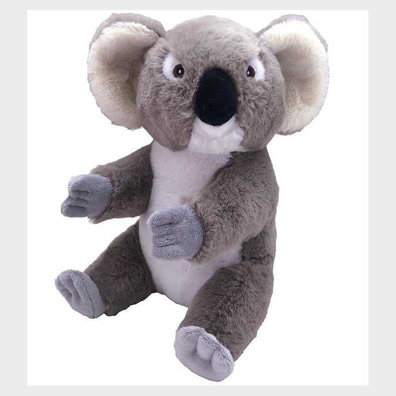 Wild Republic Bamse - Ecokins - 16x26 - Koala