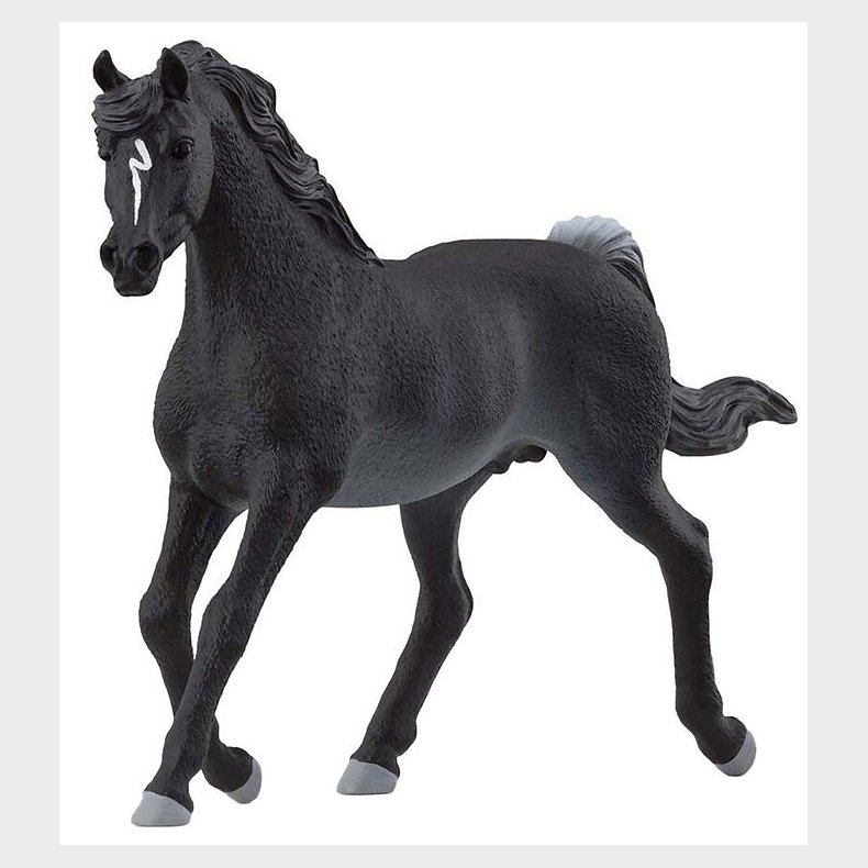 Schleich Horse Club - Araberhingst - H: 10 cm - 13981