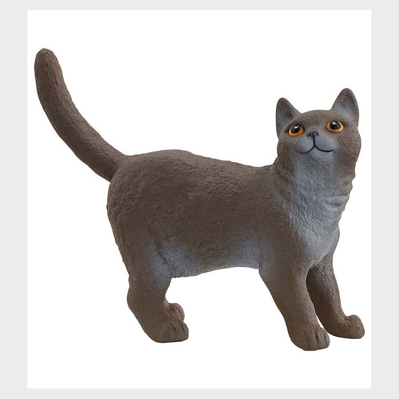 Schleich Farm World - British Shorthair - H: 4,3 cm - 13973