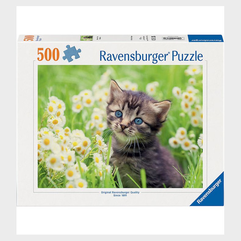 Ravensburger Puslespil - 500 Brikker - Kitten In The Meadow