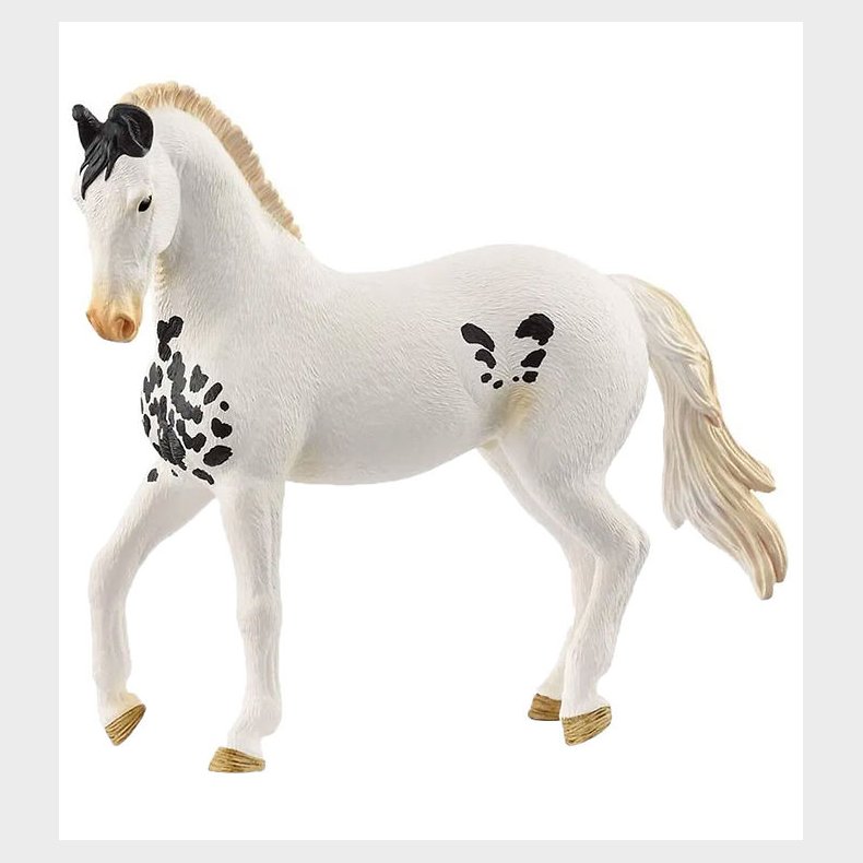 Schleich Horse Club - Marwari Stallion - H: 11 cm - 14898