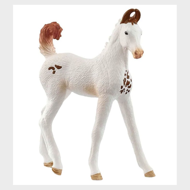 Schleich Horse Club - Marwari Foal - H: 7 cm - 14896