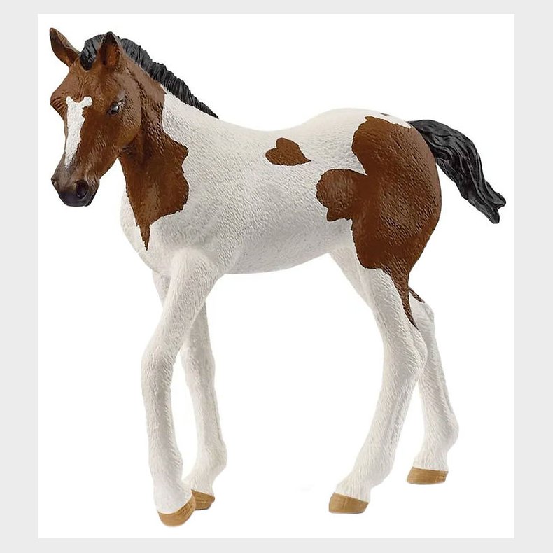 Schleich Horse Club - Paint Horse Foal - H: 7,2 cm - 14899