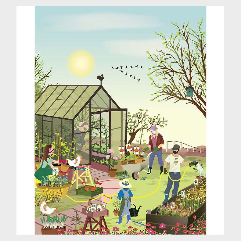 Vissevasse Plakat - 50x70 cm - Forrsflelse