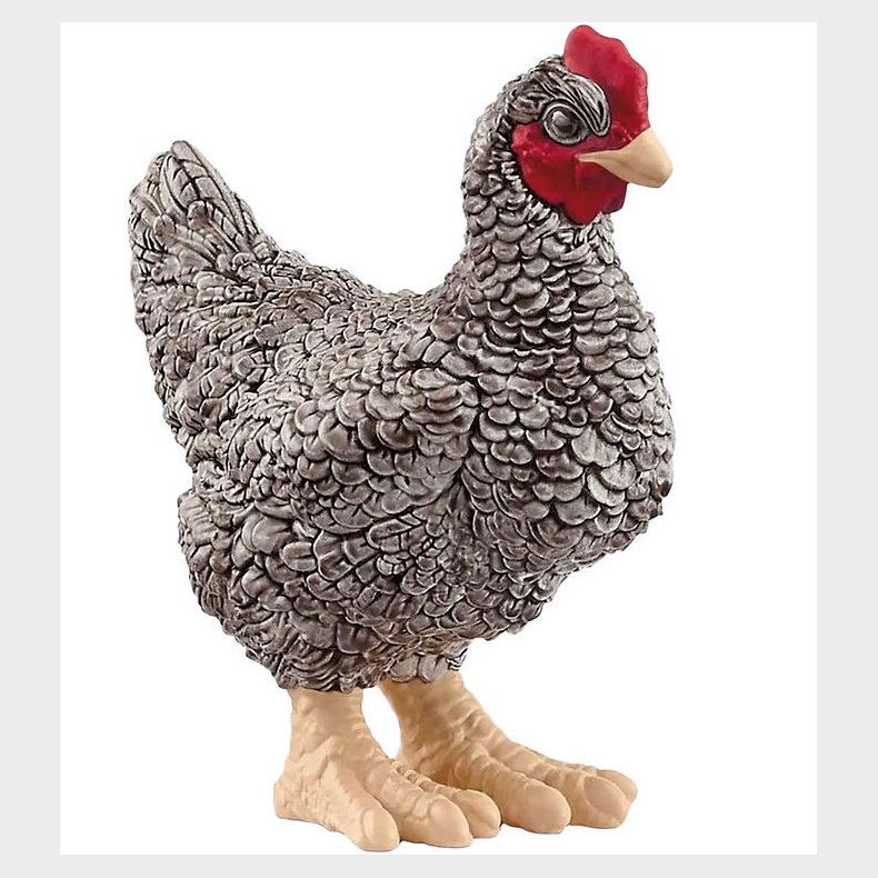 Schleich Wild Life - Plymouth Rock Hne 13997