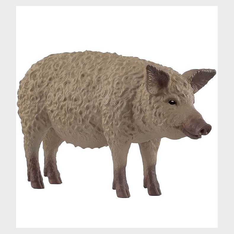 Schleich Wild Life - Mangalitsa Gris 14892