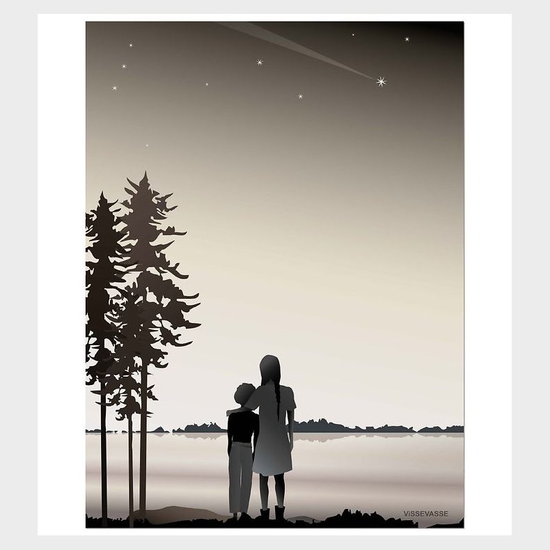 Vissevasse Plakat - 30x40 - Friends