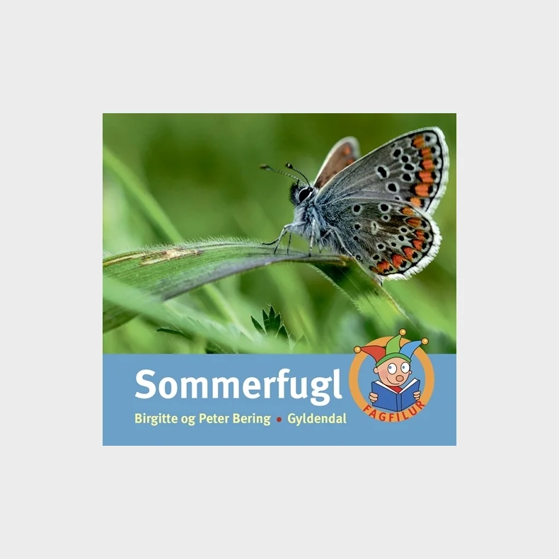 Sommerfugl
