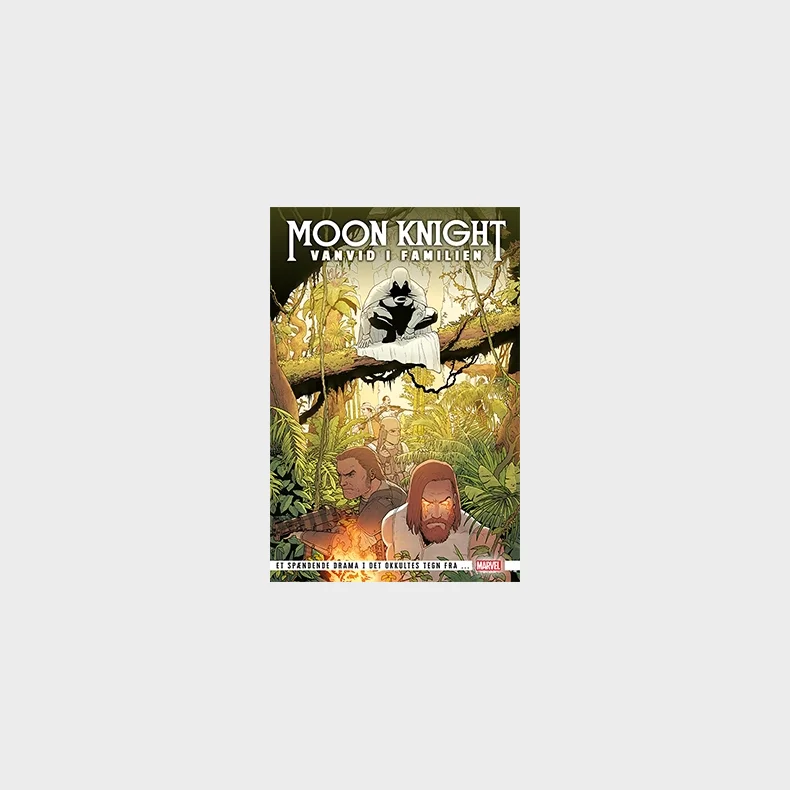 Moonknight: Vanvid i familien