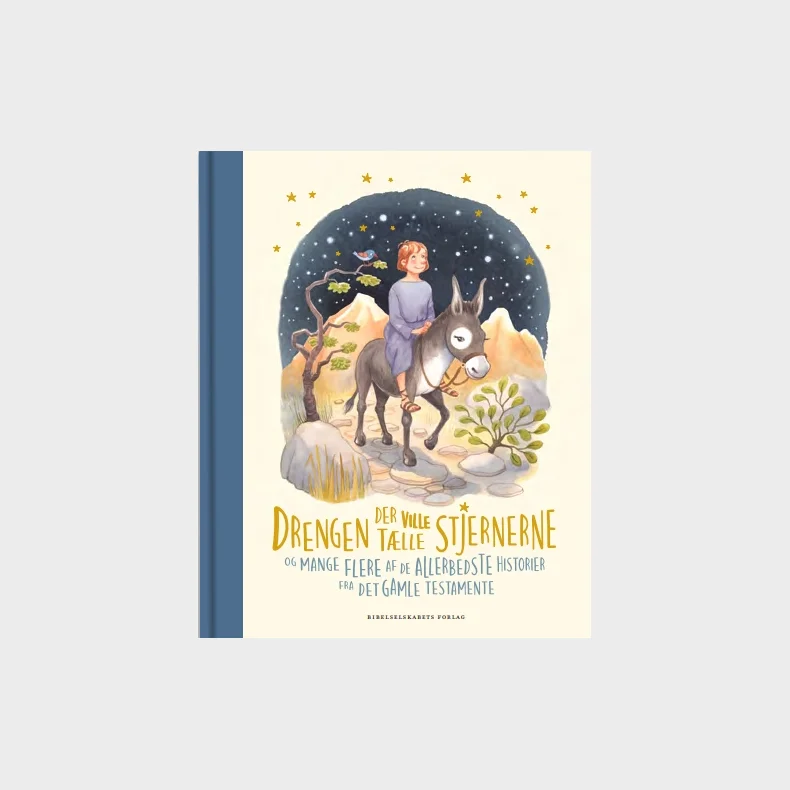 Drengen der ville tlle stjernerne