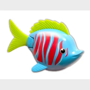 Rainbow Reef Fish - Betafisk