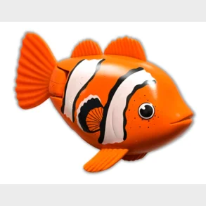 Rainbow Reef Fish - Klovnfisk