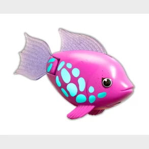 Rainbow Reef Fish - Regnbuefisk