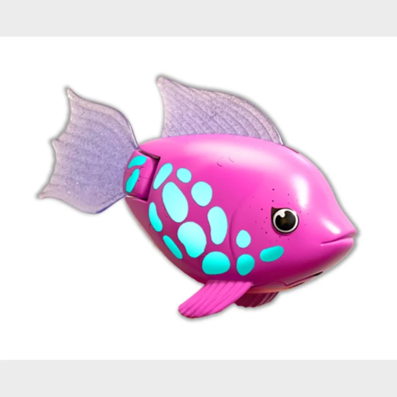 Rainbow Reef Fish - Regnbuefisk