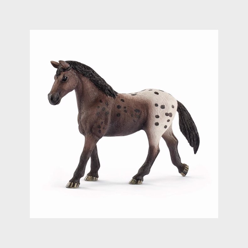 Appaloosa hoppe - Schleich