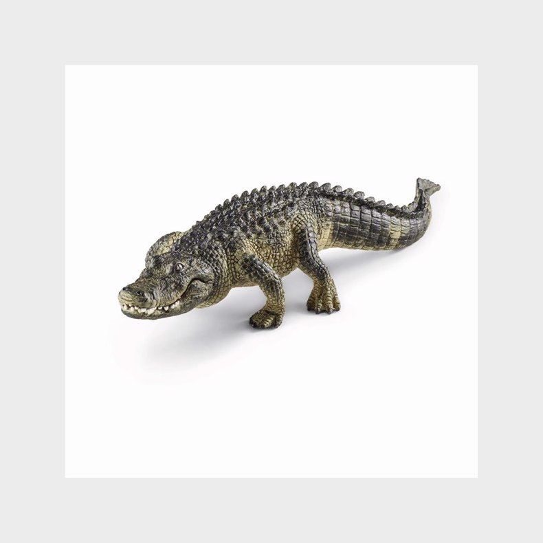 Alligator - Schleich