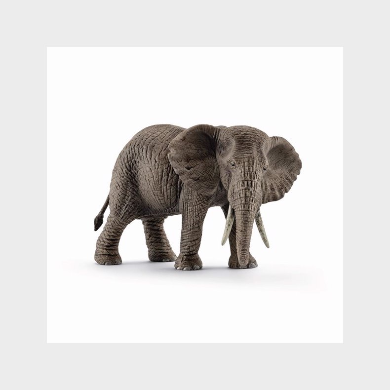 Afrikansk hun-elefant - Schleich