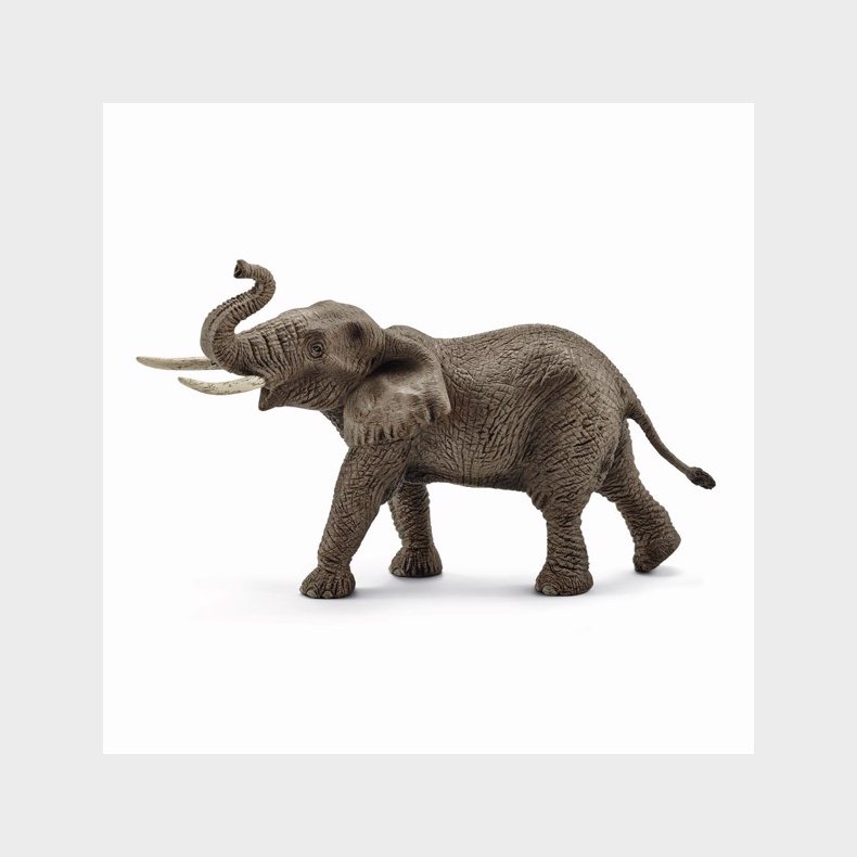 Afrikansk han-elefant - Schleich