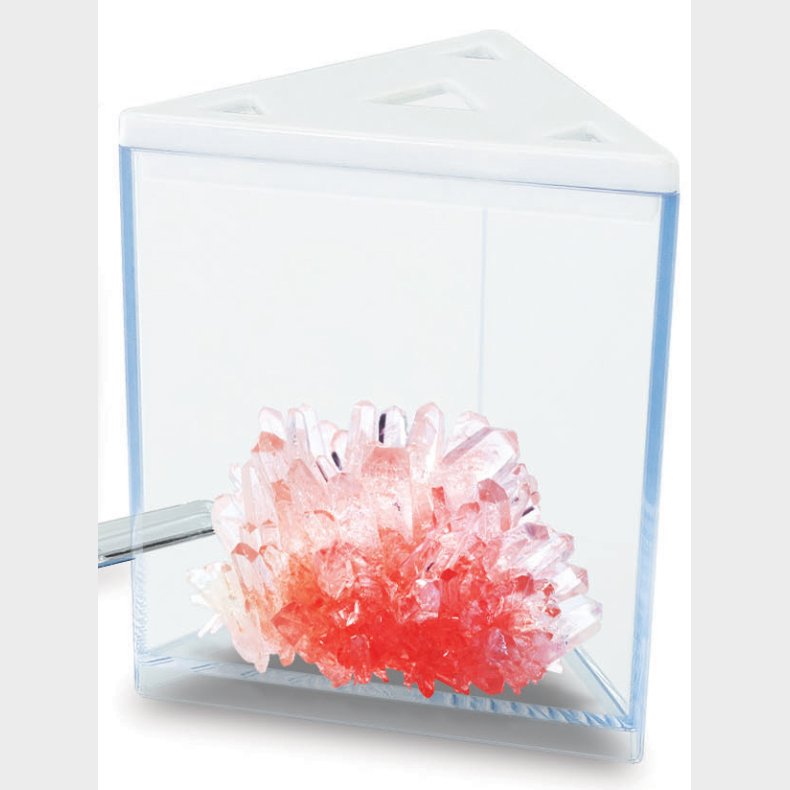 Eastcolight STEM Krystaldyrkning Rd