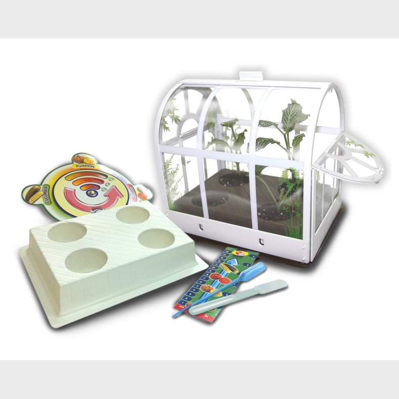 Eastcolight DIY Drivhus til brn