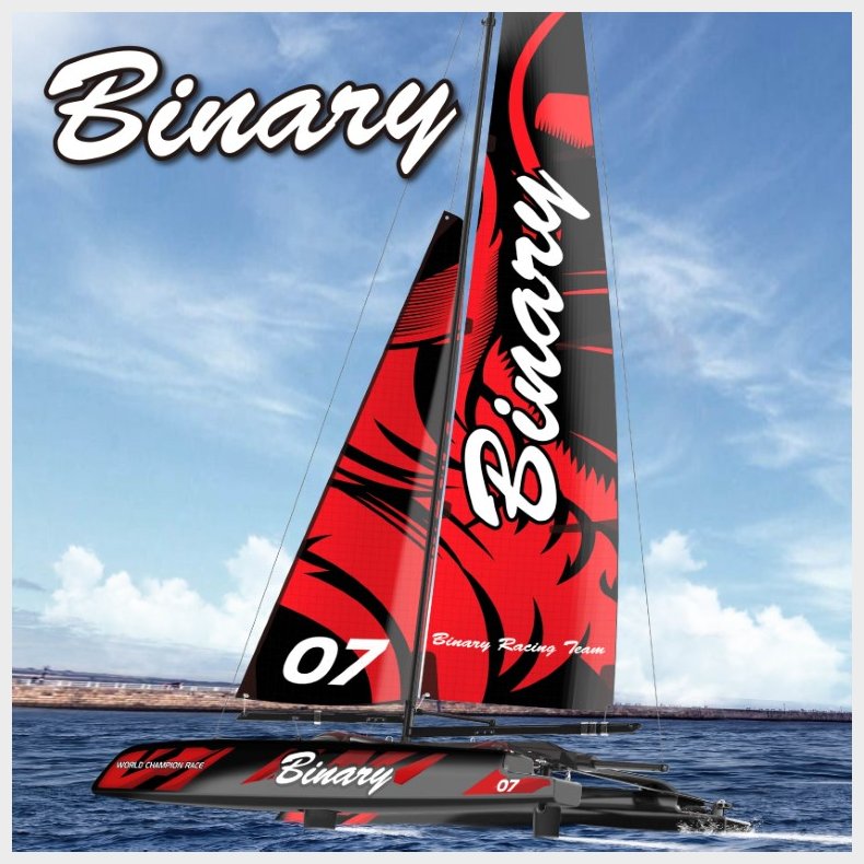 Binary V2 RTR Mini Catamaran 2.4G RTR fjernstyret sejlbd