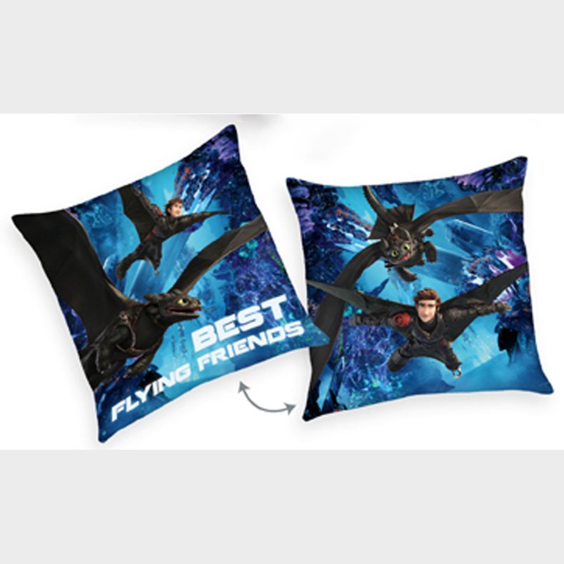 Sdan trner du din drage ''BEST FLYING FRIENDS'' Pude